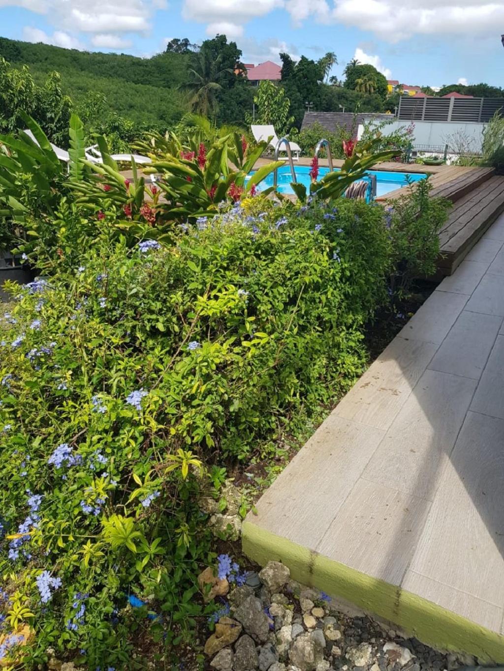 Studio Avec Piscine, A 3 Minutes A Pied Des Plages Sainte-Anne Kültér fotó