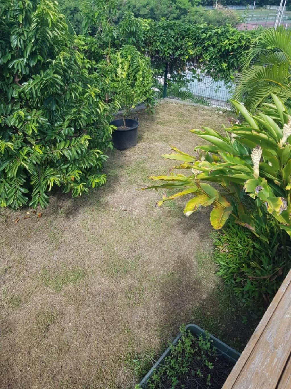 Studio Avec Piscine, A 3 Minutes A Pied Des Plages Sainte-Anne Kültér fotó